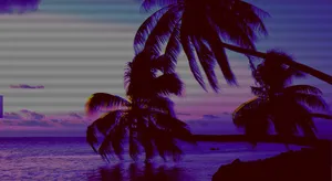 A Palm Tree In The Water Wallpaper