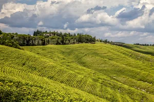 A Peaceful Grass-covered Landscape In The Open Countryside Wallpaper