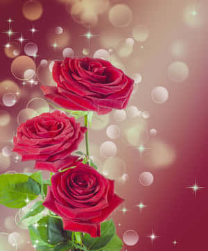 A Peaceful, Tranquil Burgundy Flower In All Its Beauty Wallpaper