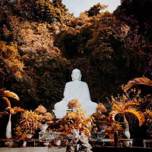 A Peaceful White Buddha Statue In Nature Wallpaper