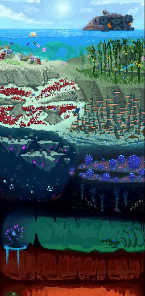 A Picture Of A Seabed With Different Types Of Plants And Animals Wallpaper