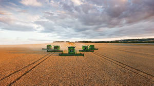 A Picturesque Country Farm Wallpaper