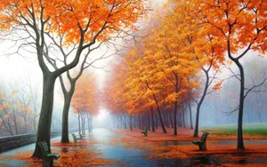 A Picturesque View Of Autumn Trees In Full Blaze Of Color. Wallpaper