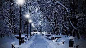 A Picturesque Winter Wonderland Near A Lake Wallpaper