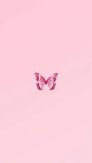 A Pink Butterfly On A Pink Background Wallpaper