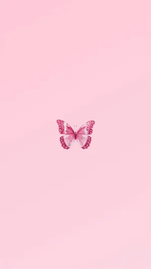A Pink Butterfly On A Pink Background Wallpaper