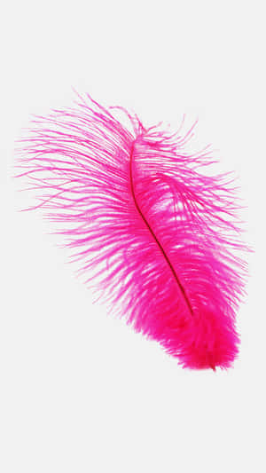 A Pink Feather On A White Background Wallpaper