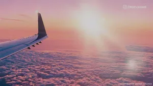 A Pink Plane Taking Flight Wallpaper