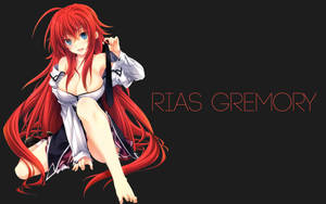 A Poster For The Hit Anime Series, Highschool Dxd Wallpaper