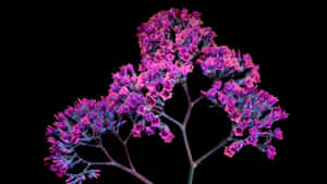 A Purple Flower In A Vase Wallpaper