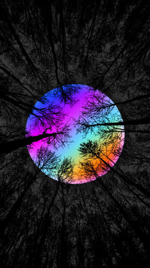 A Rainbow Colored Circle In The Middle Of A Forest Wallpaper