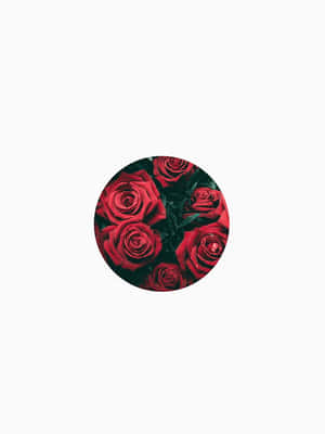 A Red Roses Button Wallpaper