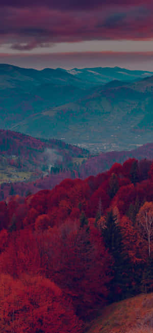 A Red Sky With Clouds Wallpaper