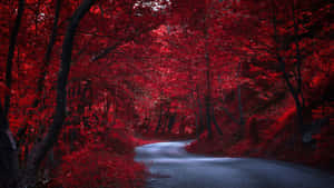 A Red Tree Stands Against A Yellow Sky Wallpaper