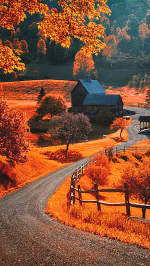 A Road With A Fence And Trees Wallpaper