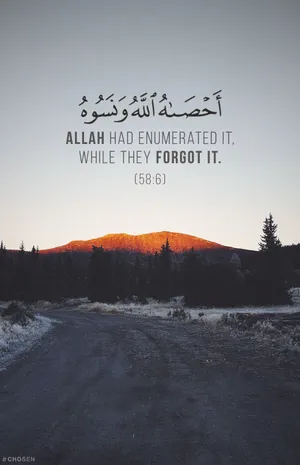 A Road With The Words Allah Has Enmity While They Forgot It Wallpaper