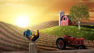 A Rooster And A Tractor On A Farm Wallpaper