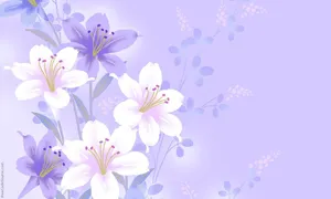 A Rose In Full Bloom Wallpaper