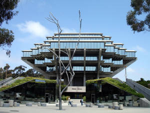 A Scenic And Peaceful View Of The University Of California, San Diego (ucsd) Campus During Daytime. Wallpaper