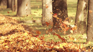 A Scenic Autumn Foliage In 3840 X 2160 Wallpaper