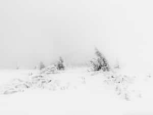 A Secluded Minimalist Winter Wallpaper