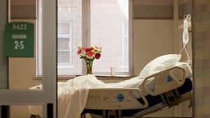 A Serene Hospital Room Featuring A Clean Hospital Bed And A Flower Vase By The Bedside. Wallpaper