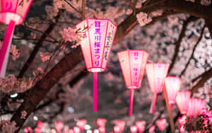 A Serene Night Sky Blooms With Cherry Blossoms Wallpaper