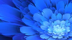 A Single Blue Flower On A Lush Green Desktop Wallpaper