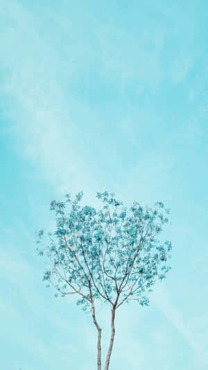 A Single Tree In The Middle Of A Field Wallpaper