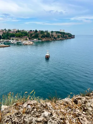 A Sleek And Modern Smartphone Showing Its Various Features On The Screen. Wallpaper