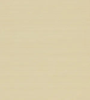 A Smooth Cream-colored Wall Texture Offering A Visually Calming Atmosphere Wallpaper