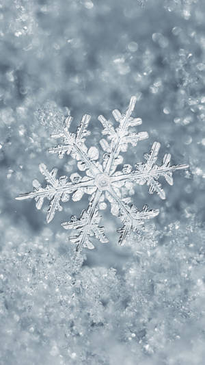 A Snowflake Is Floating In The Water Wallpaper