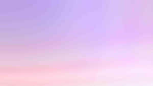 A Solid Light Purple Background Wallpaper