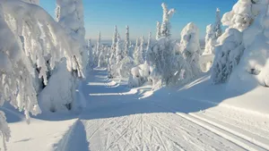 A Spectacular Winter Scene Wallpaper