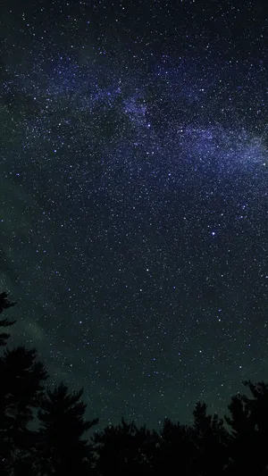 A Starry Sky With Trees And Trees Wallpaper