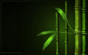 A Stunning Green Bamboo Forest Wallpaper