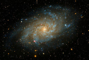 A Stunning View Of The Andromeda Galaxy Wallpaper