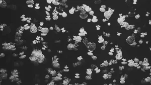 A Stunning View Of Urban Skyline Wallpaper