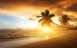 A Stunningly Tranquil Evening At The Beach Wallpaper