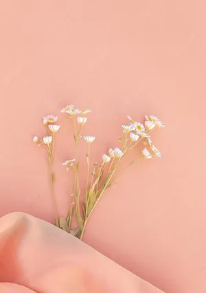 A Summer Of Pink Wallpaper