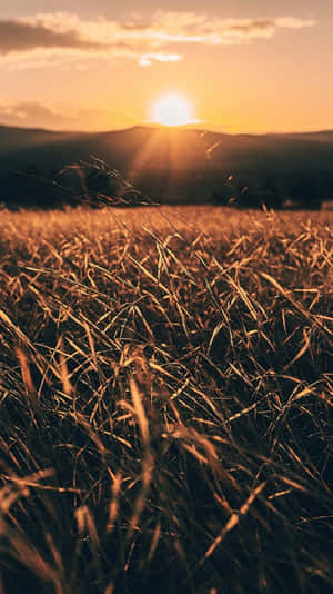 A Sunrise Over The Horizon Wallpaper