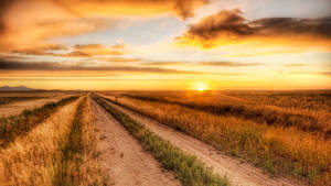 A Sunset View Of A Dirt Road In The Countryside. Wallpaper