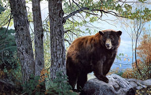 A Sweet And Happy Brown Bear Ready For Hugs. Wallpaper