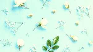 A Sweet Light Blue Background Perfect For A Peaceful Day Wallpaper