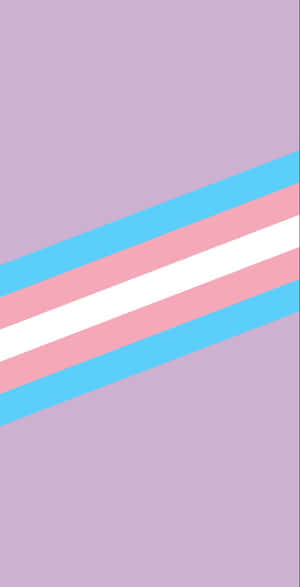 A Transgender Flag With A Blue, Pink And White Stripe Wallpaper