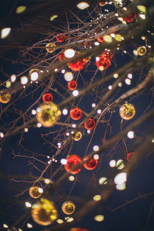 A Tree With Many Ornaments Hanging From It Wallpaper