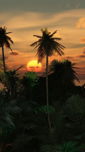 A Tropical Scene With Palm Trees And A Sunset Wallpaper