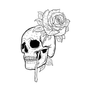 A Unique Blend Of Love And Death - Skulls And Roses Together In Perfect Synergy Wallpaper