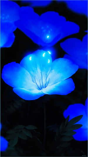 A Vast Collection Of Blue Things Wallpaper