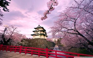 A Vibrant Burst Of Colors Enveloping A Picturesque Japanese Pink Landscape. Wallpaper